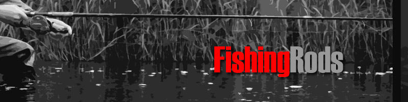 Wholesalers of Fishing Rods