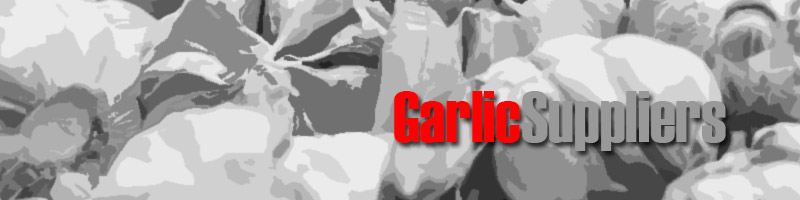 Wholesalers of Garlic