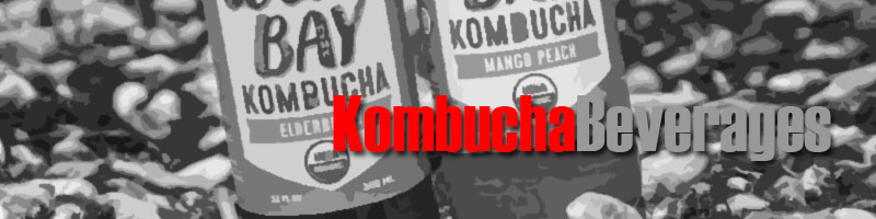 Wholesale Kombucha Suppliers