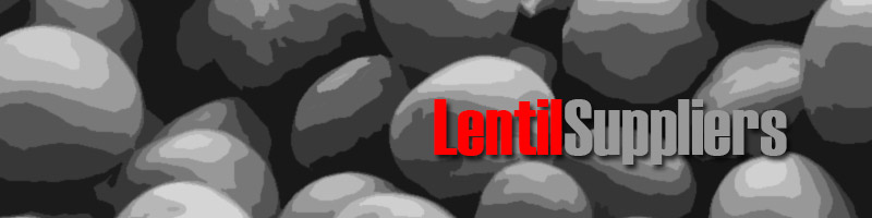 Wholesale Lentil Suppliers