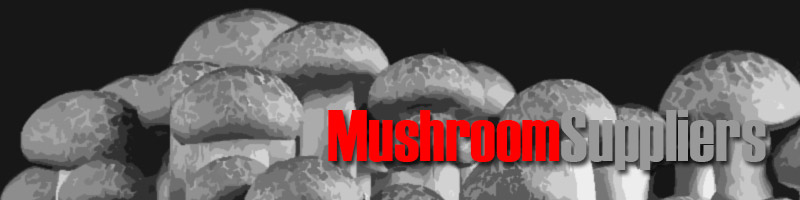 Wholesale Suppliers of Mushrooms