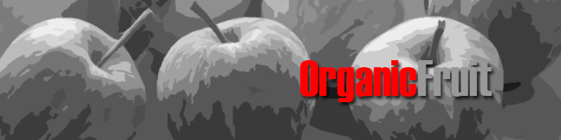 Organic Fruit Distributors