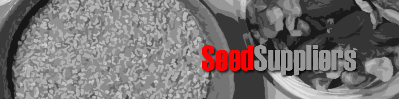 Wholesale Seed Suppliers
