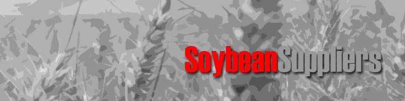 Wholesale Soybean Suppliers