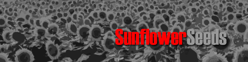 Sunflower Seeds Distribution