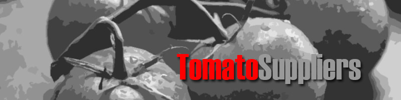 Wholesale Tomato Suppliers