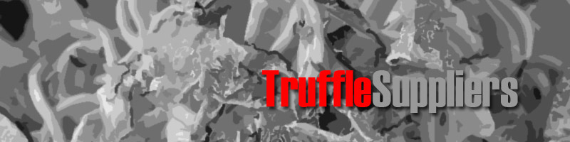 Wholesale Truffle Suppliers