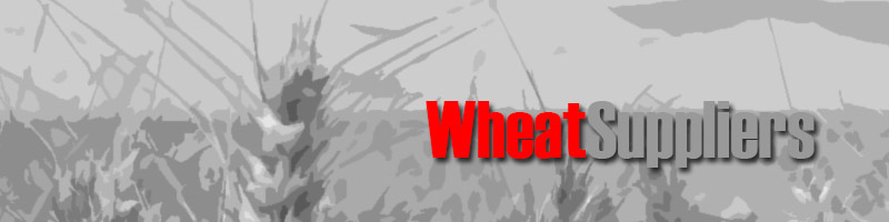 Wholesale Wheat Suppliers