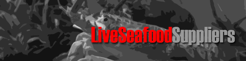 Live Seafood Wholesalers