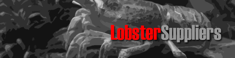 Wholesale Lobster Suppliers