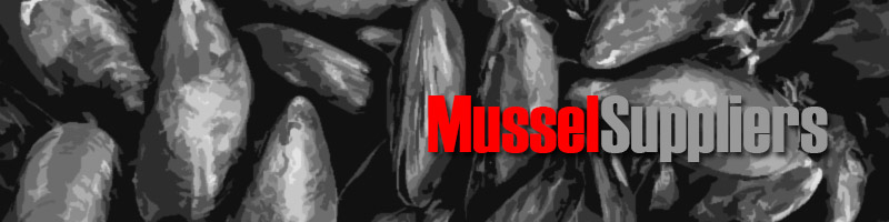Wholesale Mussels Suppliers