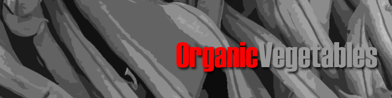 Wholesale Organic Vegetables Supplies