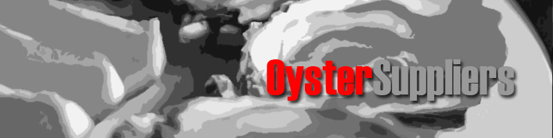 Wholesale Oyster Suppliers