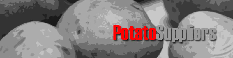 Wholesale Potato Suppliers