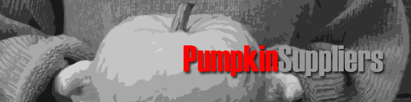 Wholesale Pumpkin Suppliers