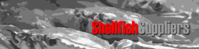 Wholesale Shellfish Suppliers