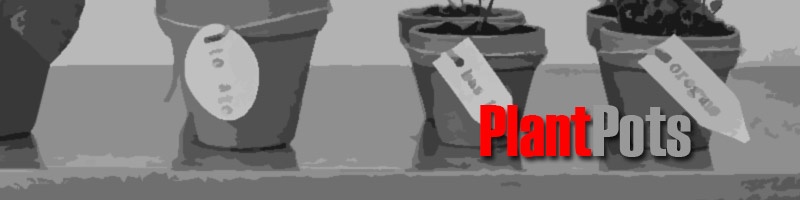 Wholesale Pot Plant Supplies
