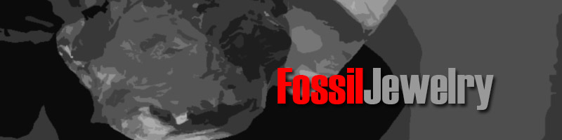 Fossil Jewelry Wholesalers